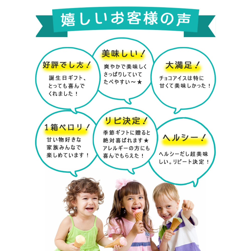K and Son's 豆乳穀物アイス / 80ml 24個 / 有機JAS